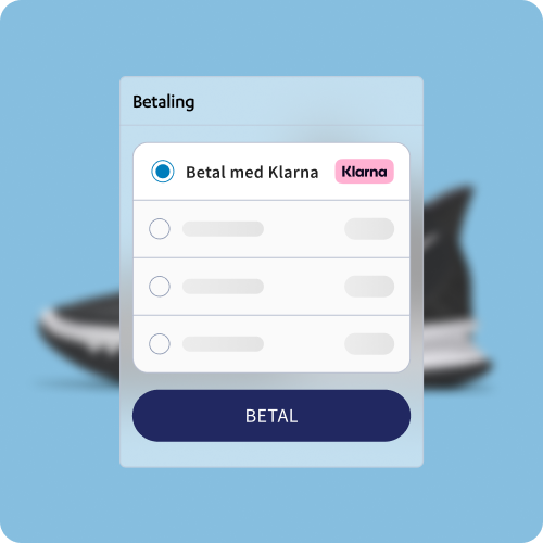 Pay Later with Klarna UI Image 2 2 - Nets