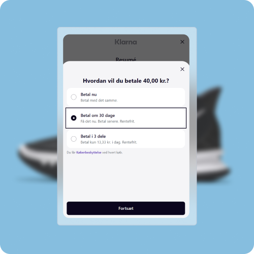 Pay later with Klarna UI image 3 1 - Nets